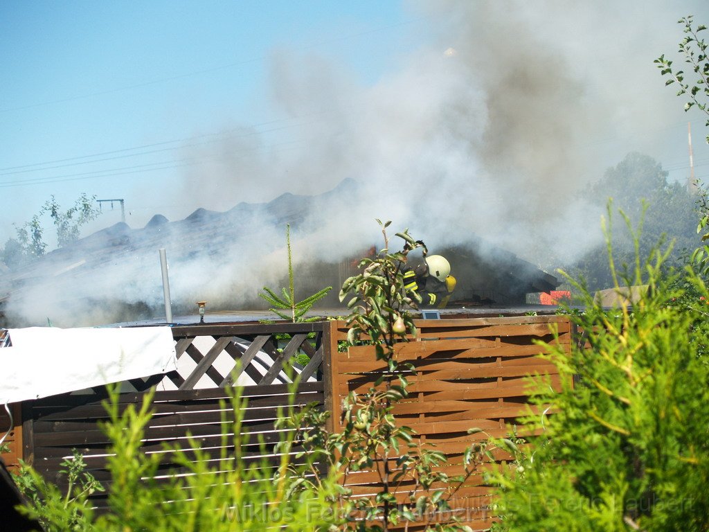 Gartenlaube in Vollbrand Koeln Poll Im Gremberger Waeldchen P190.JPG